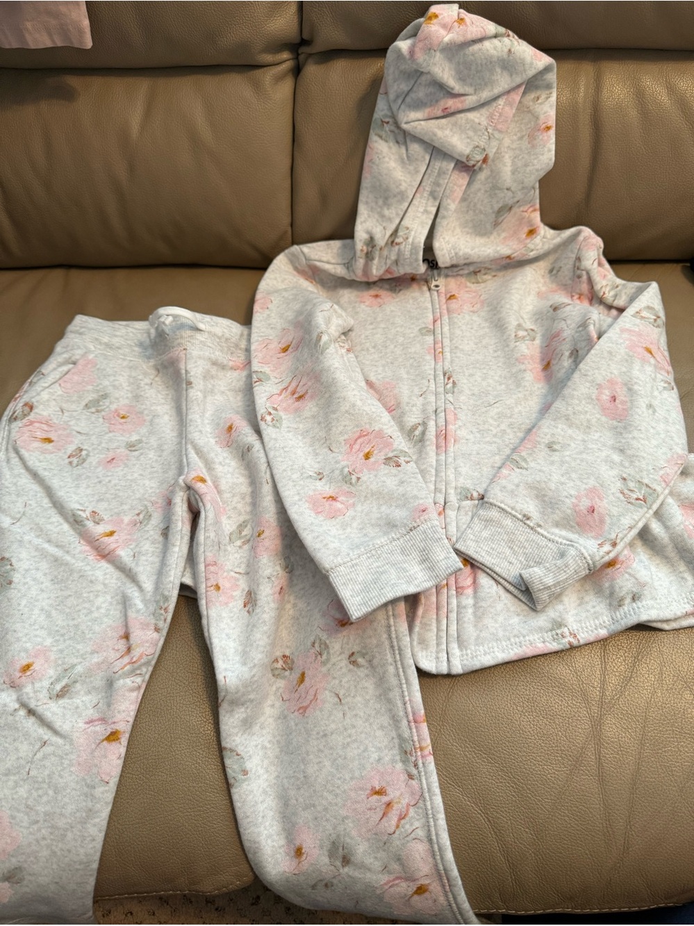 Carter's Light Gray Hoodie & Pants Set with Pink Floral Print